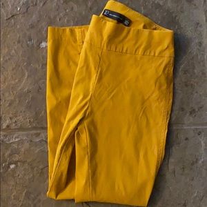 New York & Company Whitney Pants